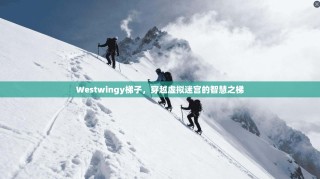 Westwingy梯子，穿越虚拟迷宫的智慧之梯