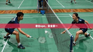 老白vpn，安全第一