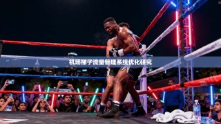 机场梯子流量管理系统优化研究