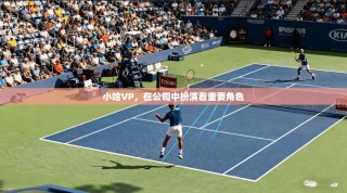 小哈VP，在公司中扮演着重要角色