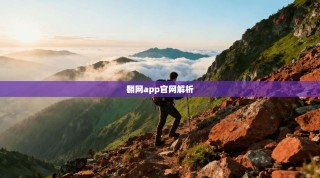 翻网app官网解析