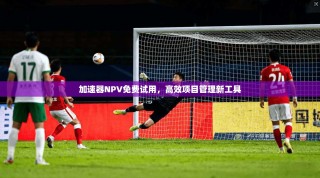 加速器NPV免费试用，高效项目管理新工具