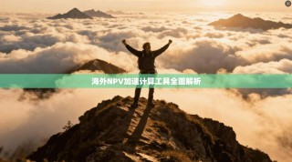 海外NPV加速计算工具全面解析