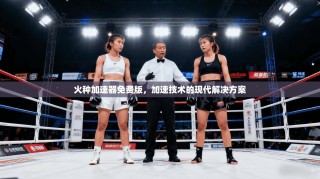 火种加速器免费版，加速技术的现代解决方案