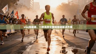 vnq加速器，一种高效云网络加速解决方案