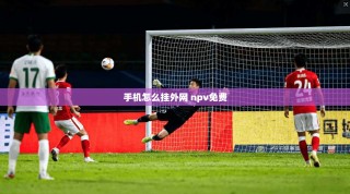 手机怎么挂外网 npv免费