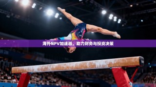 海外NPV加速器，助力财务与投资决策