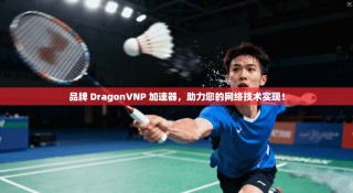 品牌 DragonVNP 加速器，助力您的网络技术实现！