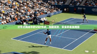 分布式网络中的VNP节点，构建高效、安全的未来网络