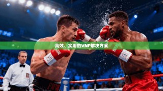 高效、实用的VNP解决方案
