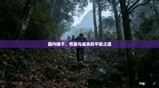 国内梯子，性能与成本的平衡之道