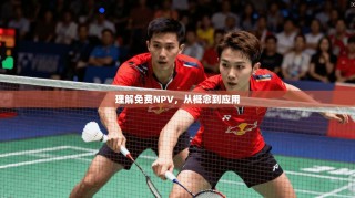 理解免费NPV，从概念到应用