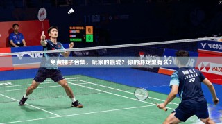 免费梯子合集，玩家的最爱？你的游戏里有么？