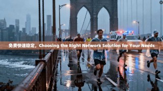 免费快速稳定，Choosing the Right Network Solution for Your Needs