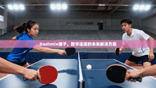 Dashmix梯子，数字连接的未来解决方案