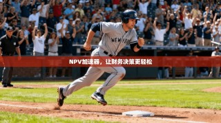 NPV加速器，让财务决策更轻松