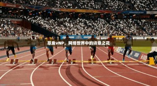 草鱼vNP，网络世界中的诗意之花