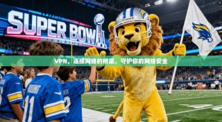 VPN，连接网络的桥梁，守护你的网络安全