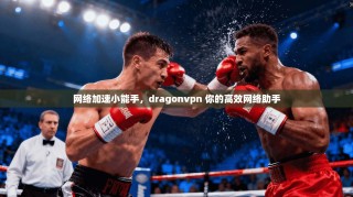 网络加速小能手，dragonvpn 你的高效网络助手