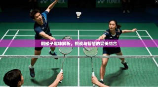 翻梯子趣味解析，挑战与智慧的完美结合