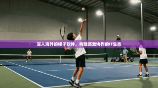 深入海外的梯子软件，构建高效协作的IT生态