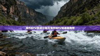 海外NPV快速计算与海外NPV加速器推荐