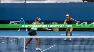 面向VNP加速器的网络工程师的快速入门指南