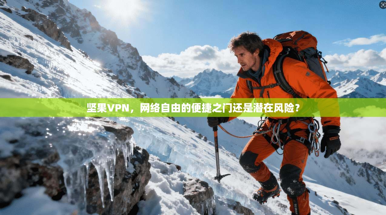 坚果VPN，网络自由的便捷之门还是潜在风险？