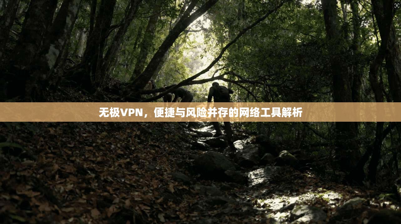 无极VPN，便捷与风险并存的网络工具解析