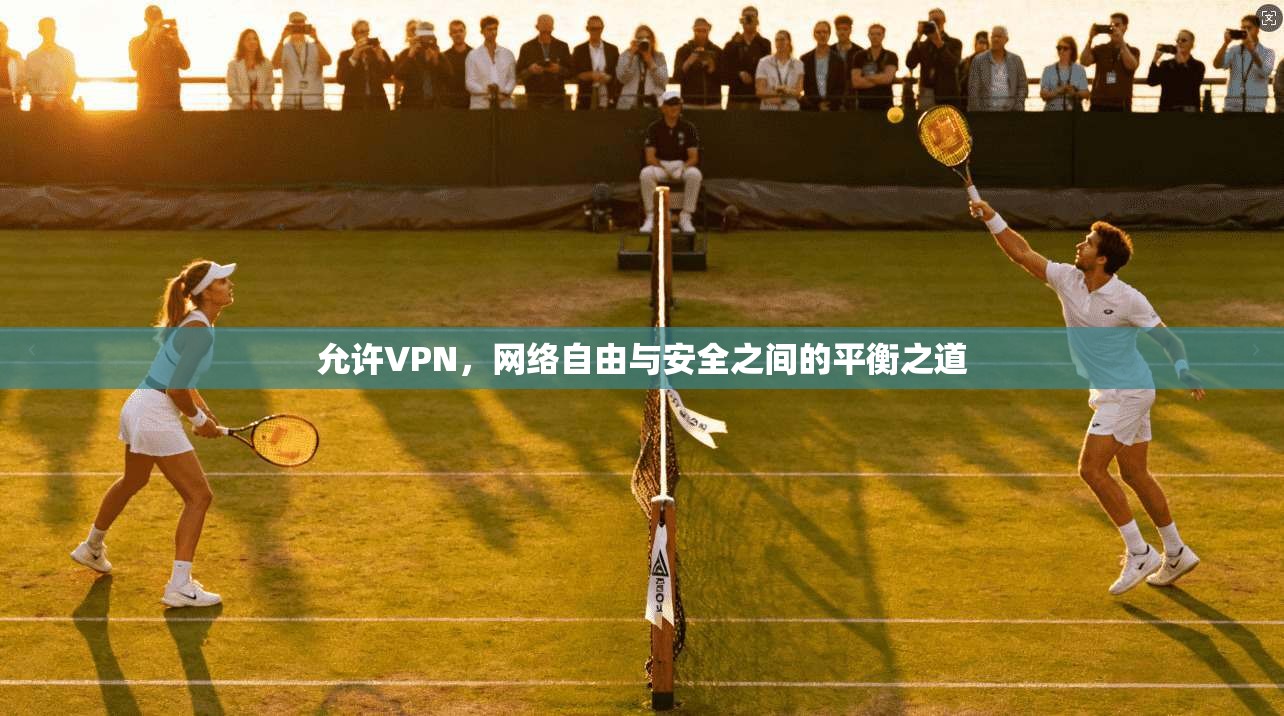 允许VPN，网络自由与安全之间的平衡之道