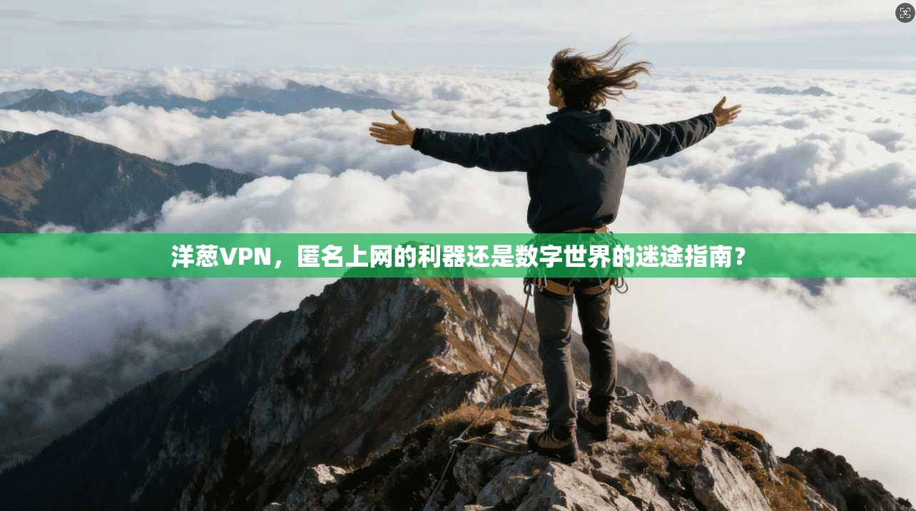洋葱VPN，匿名上网的利器还是数字世界的迷途指南？
