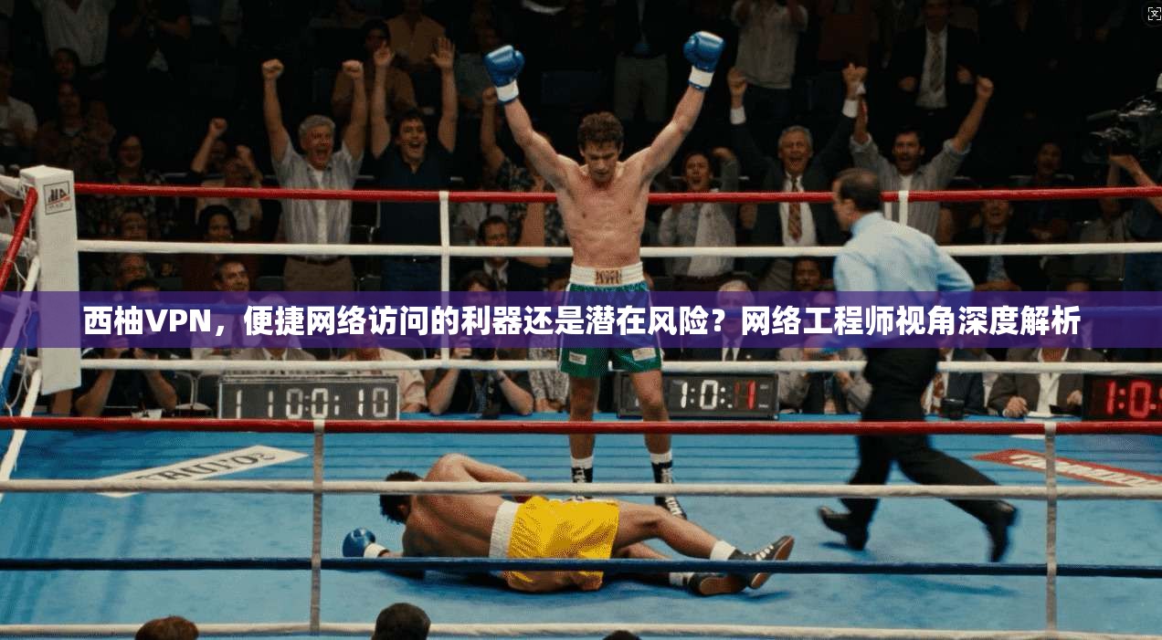 西柚VPN，便捷网络访问的利器还是潜在风险？网络工程师视角深度解析