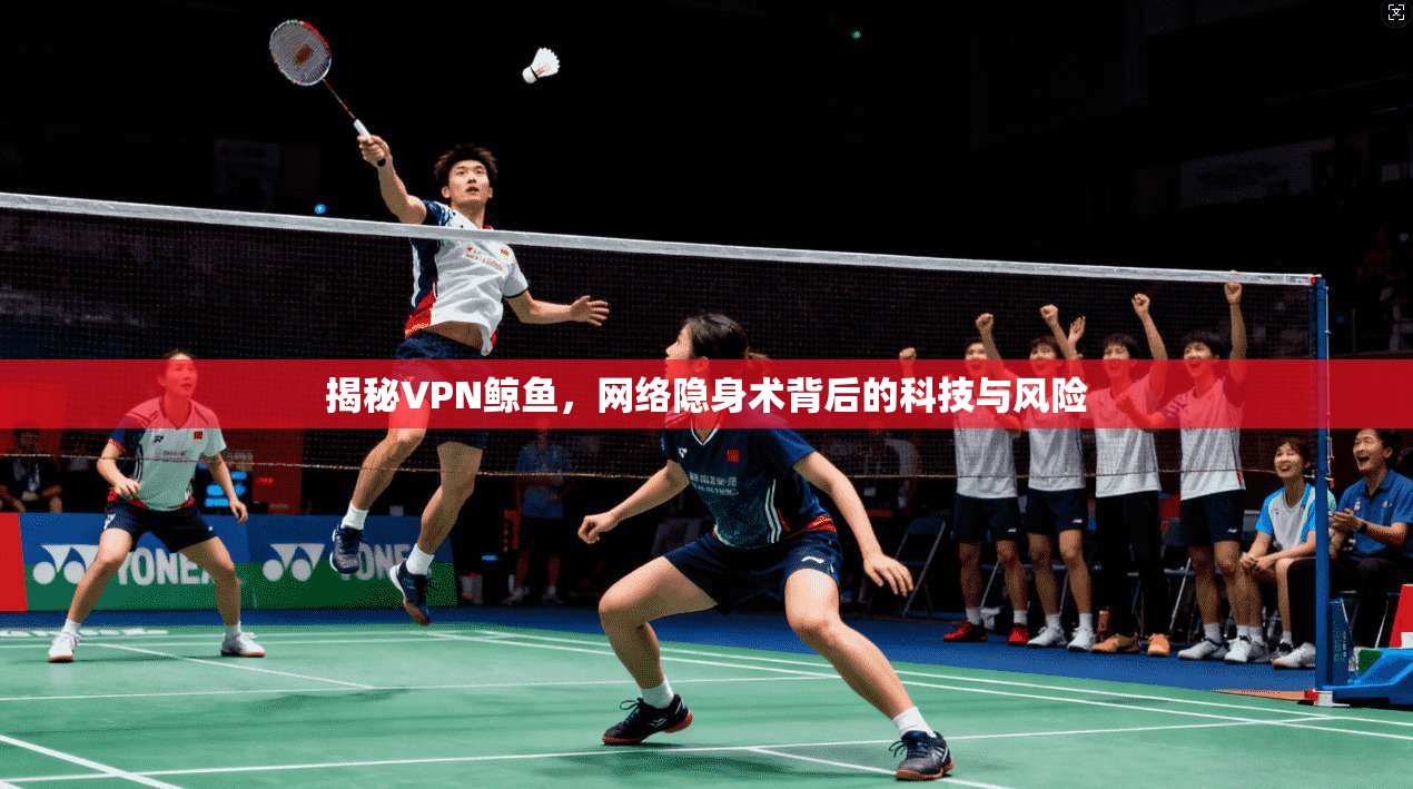 揭秘VPN鲸鱼，网络隐身术背后的科技与风险