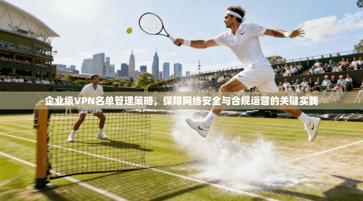 企业级VPN名单管理策略，保障网络安全与合规运营的关键实践