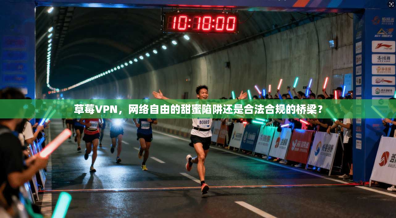 草莓VPN，网络自由的甜蜜陷阱还是合法合规的桥梁？