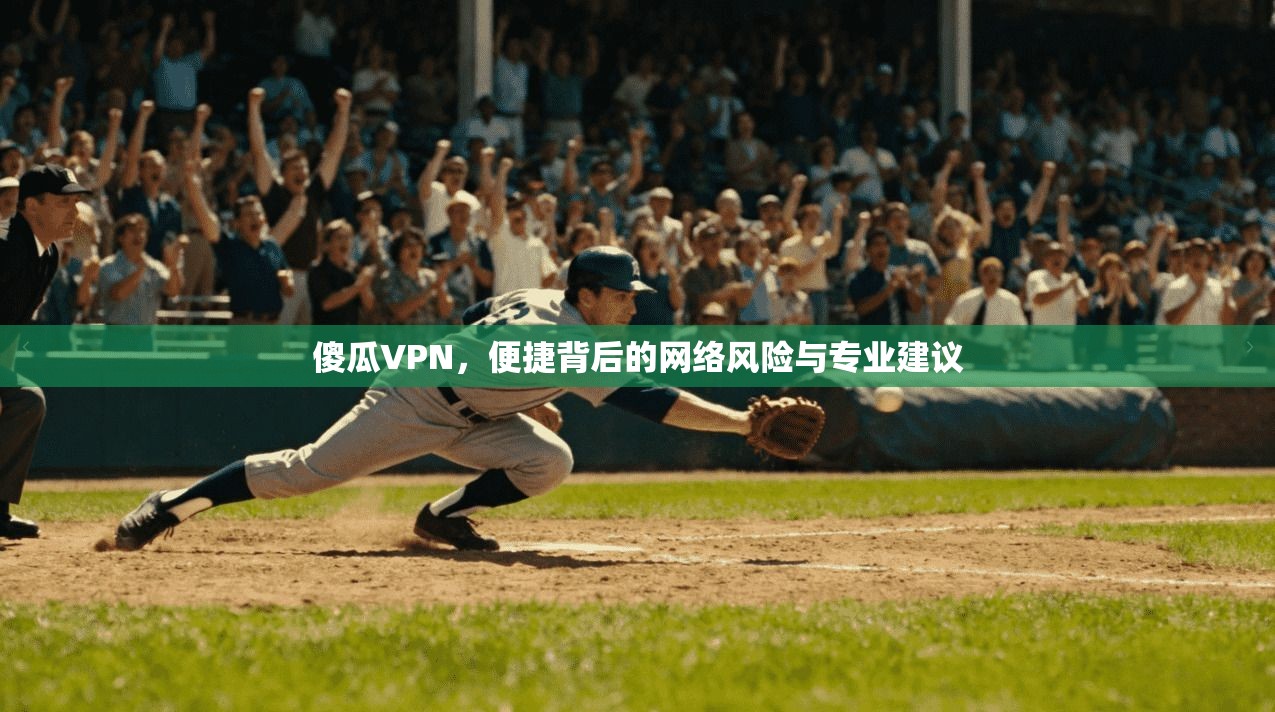 傻瓜VPN，便捷背后的网络风险与专业建议