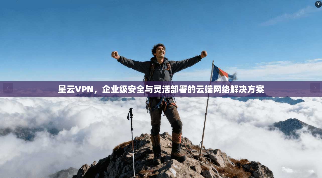 星云VPN，企业级安全与灵活部署的云端网络解决方案
