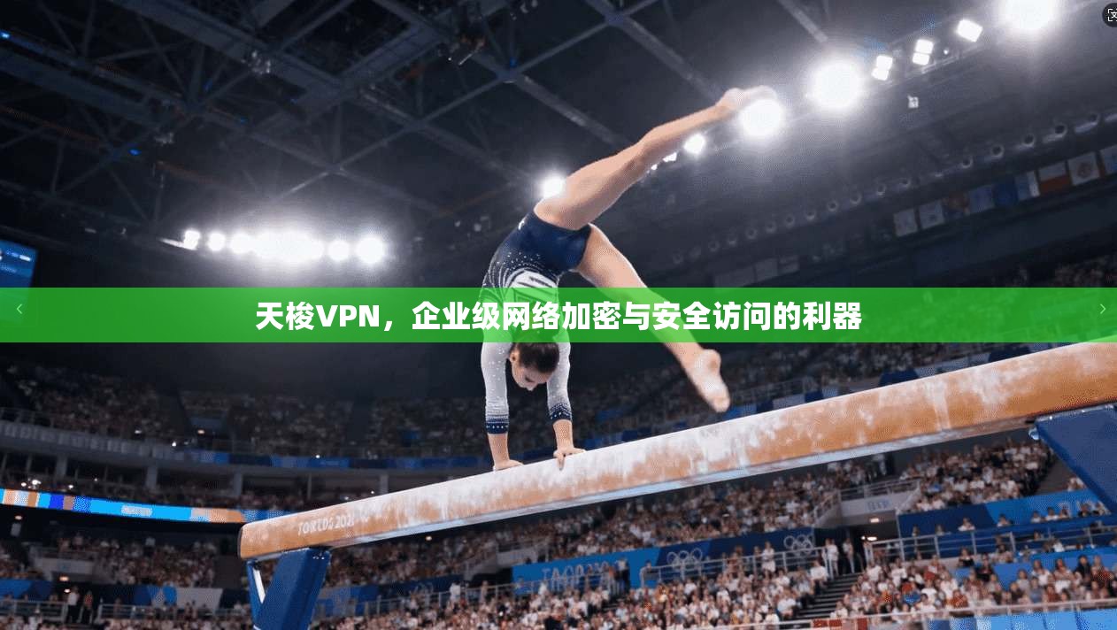 天梭VPN，企业级网络加密与安全访问的利器