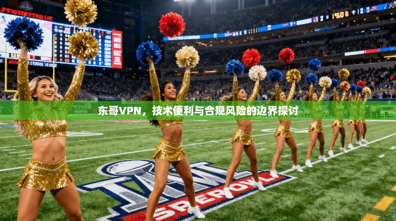 东哥VPN，技术便利与合规风险的边界探讨