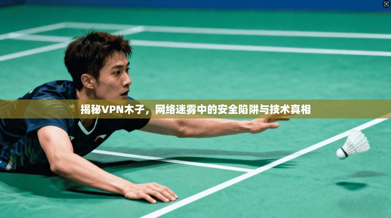 揭秘VPN木子，网络迷雾中的安全陷阱与技术真相