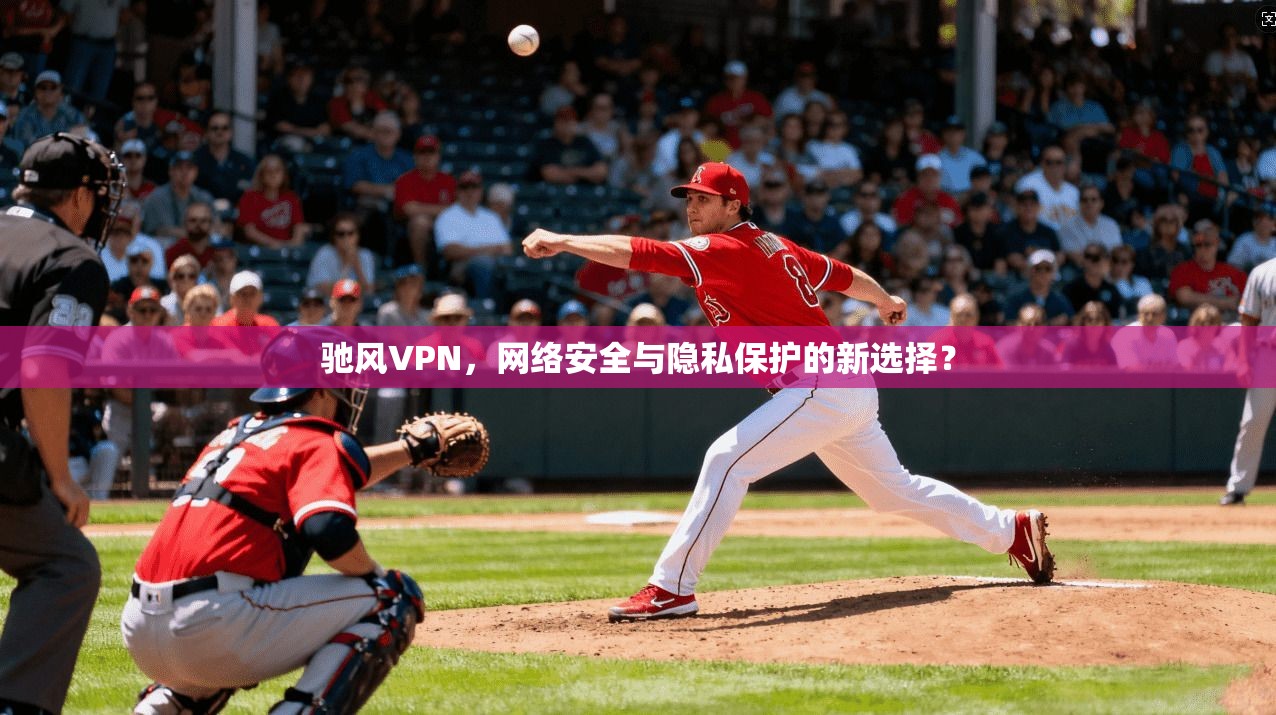 驰风VPN，网络安全与隐私保护的新选择？