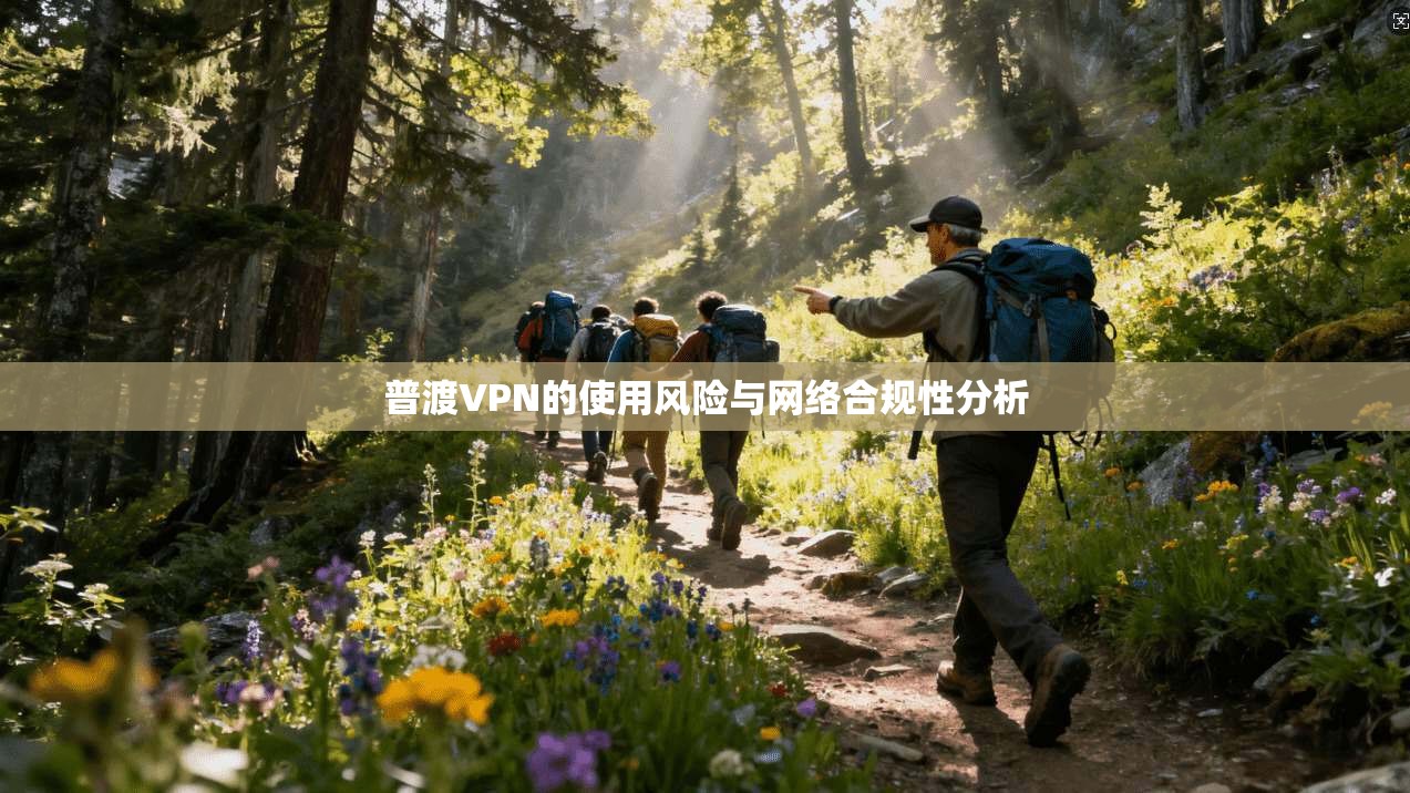 普渡VPN的使用风险与网络合规性分析