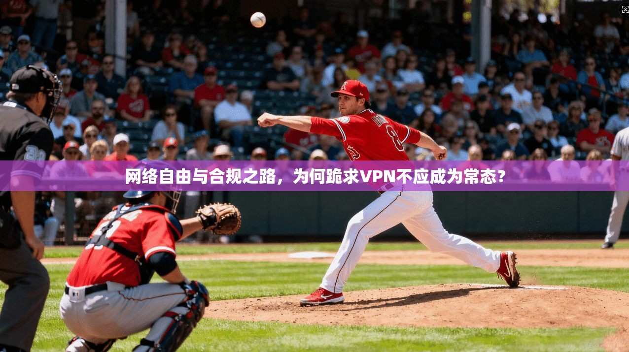 网络自由与合规之路，为何跪求VPN不应成为常态？