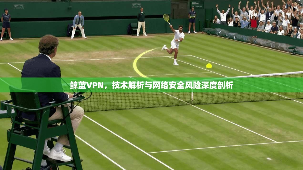 鲸蓝VPN，技术解析与网络安全风险深度剖析