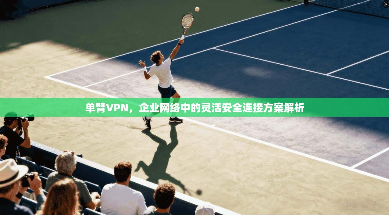 单臂VPN，企业网络中的灵活安全连接方案解析