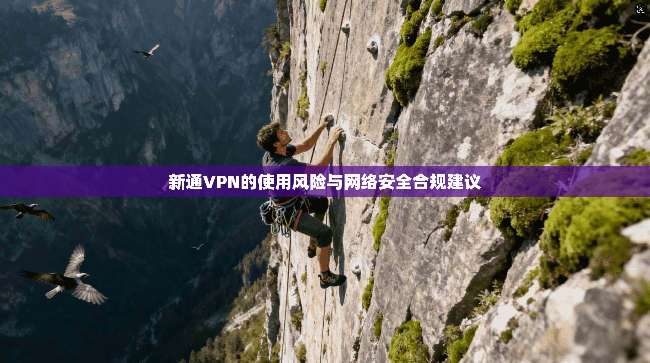 新通VPN的使用风险与网络安全合规建议
