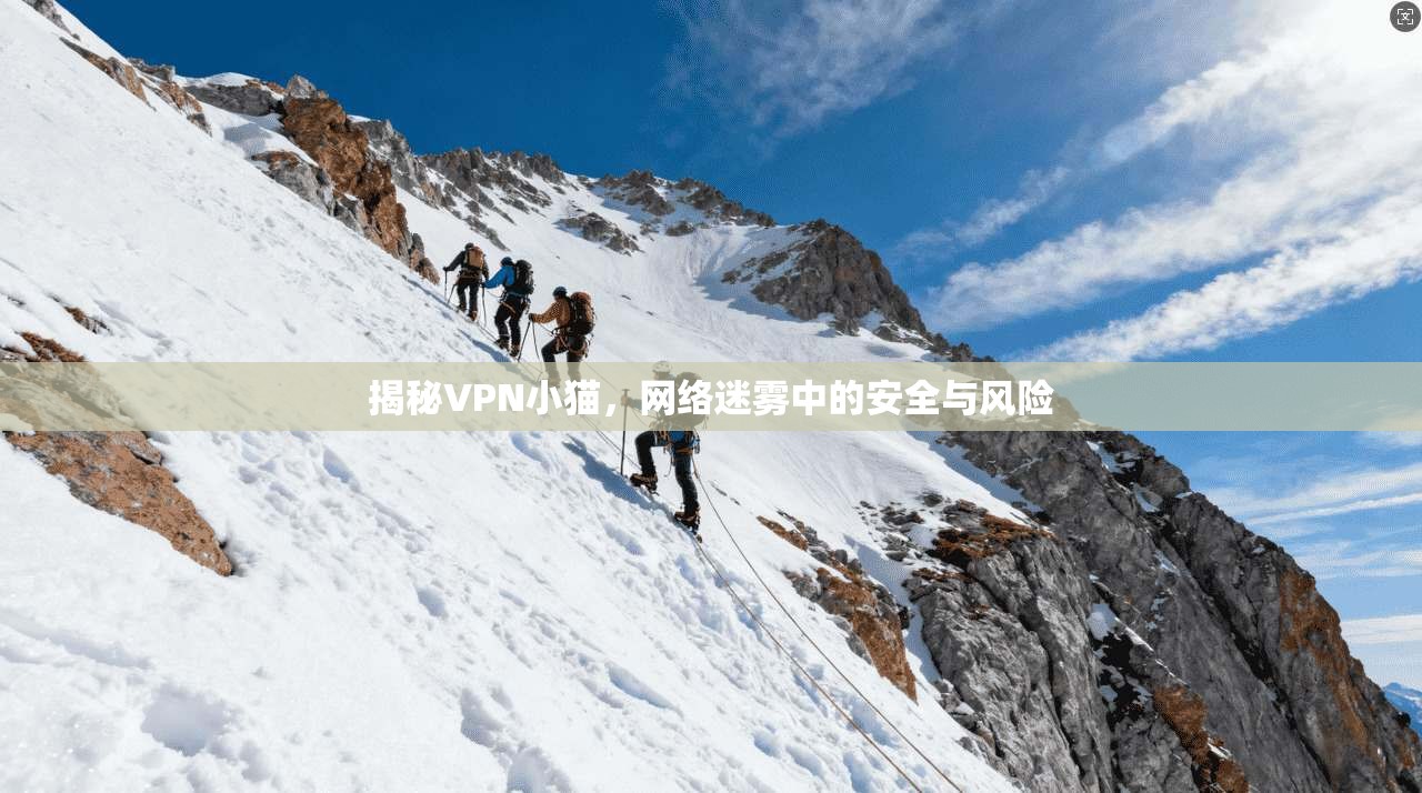 揭秘VPN小猫，网络迷雾中的安全与风险