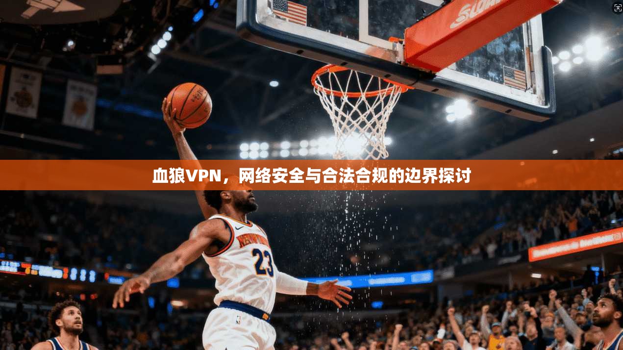 血狼VPN，网络安全与合法合规的边界探讨