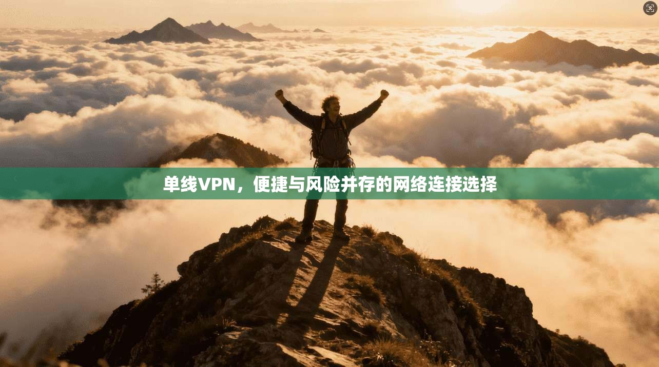 单线VPN，便捷与风险并存的网络连接选择
