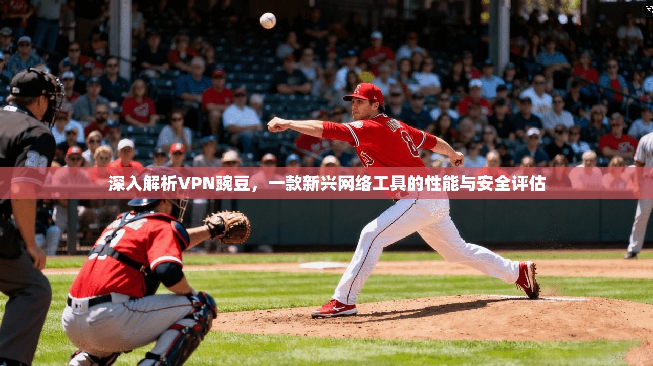 深入解析VPN豌豆，一款新兴网络工具的性能与安全评估